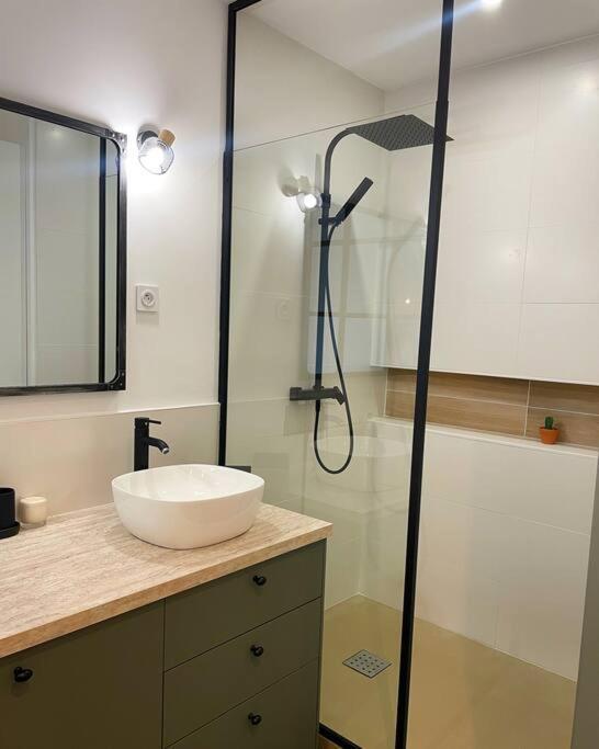 Appartement De Prestige A Saint-Rémy-de-Provence Eksteriør billede